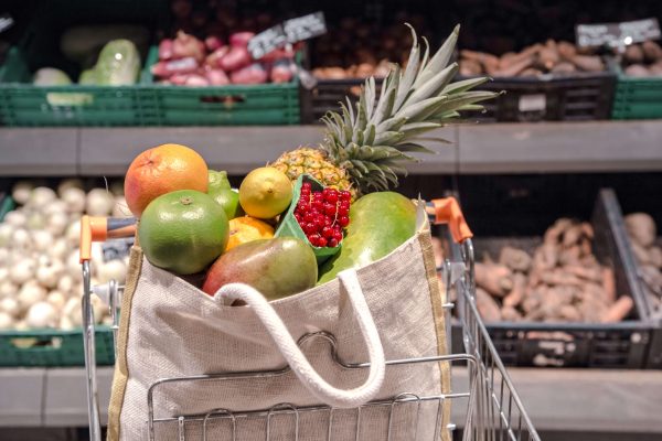 eco-bag-with-different-fruits-vegetables-shopping-cart (1)